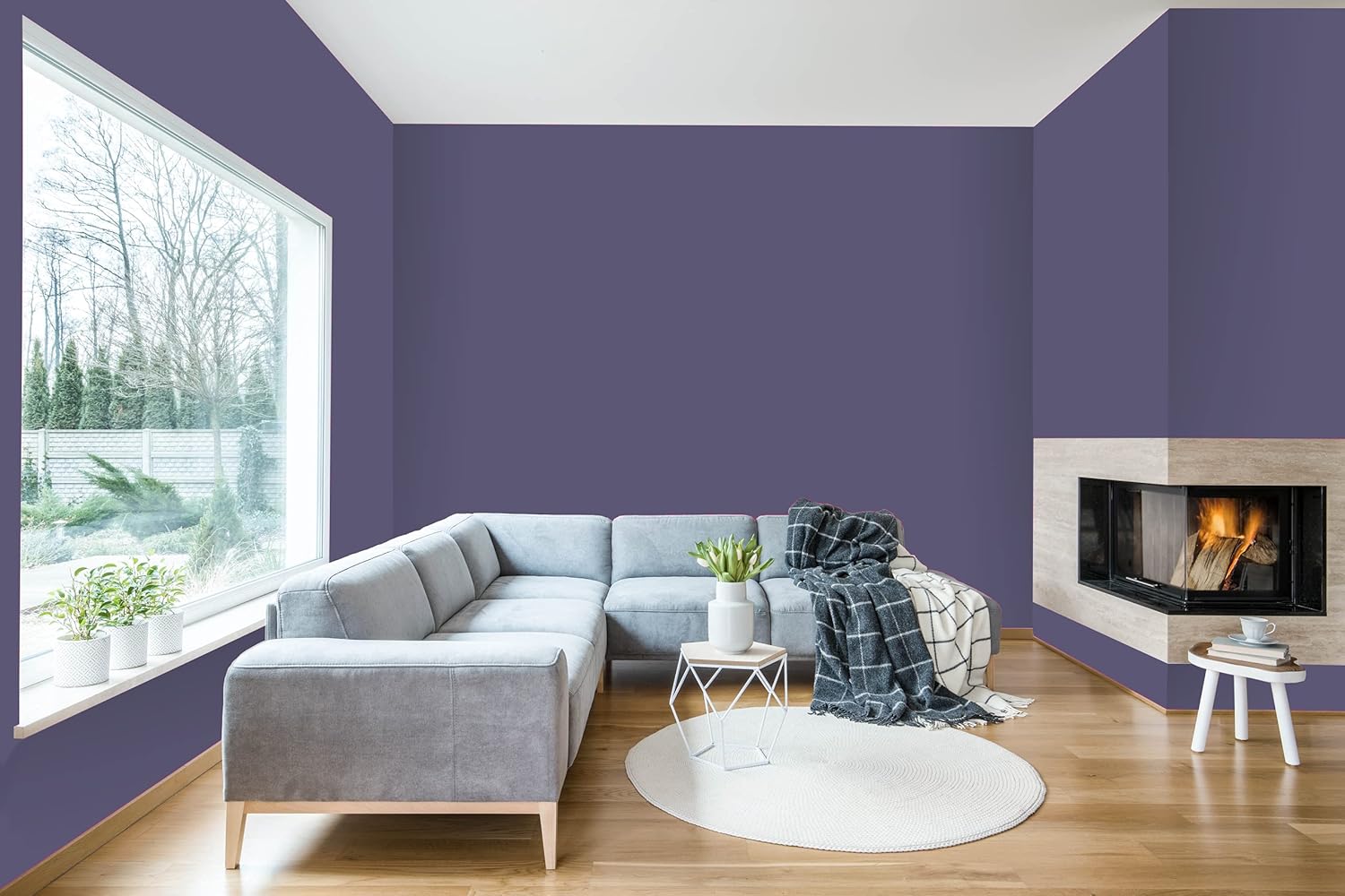 Modern living room with light wood floors, purple walls painted in thick satin finish paint for smooth coverage, large window, gray sectional sofa, white round rug, small table with flowers, and a corner fireplace with a burning fire and plaid blanket.