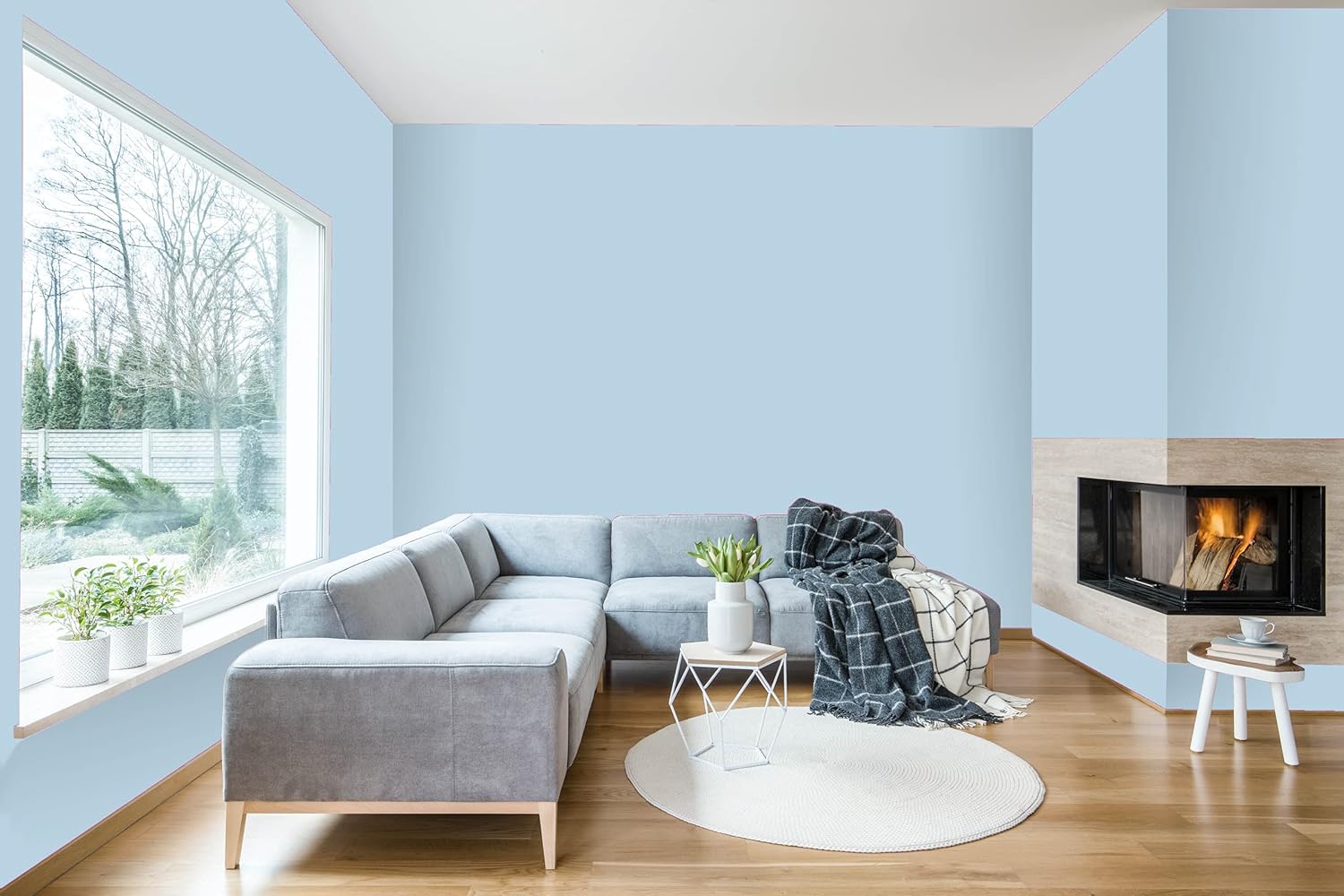 A modern living room with light blue walls painted in premium paint, a large window, a gray sectional sofa, a round white rug, a small table with plants, a cozy blanket, and a lit fireplace in the corner.