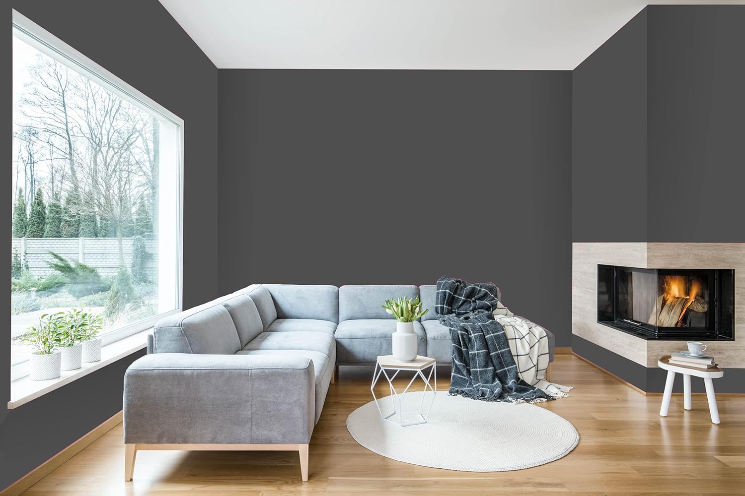 Modern living room with dark gray Amazon paint brand walls, a large window, light gray sectional sofa, white round rug, small white tables with plants, and a fireplace in the corner with a blanket draped over the sofa.