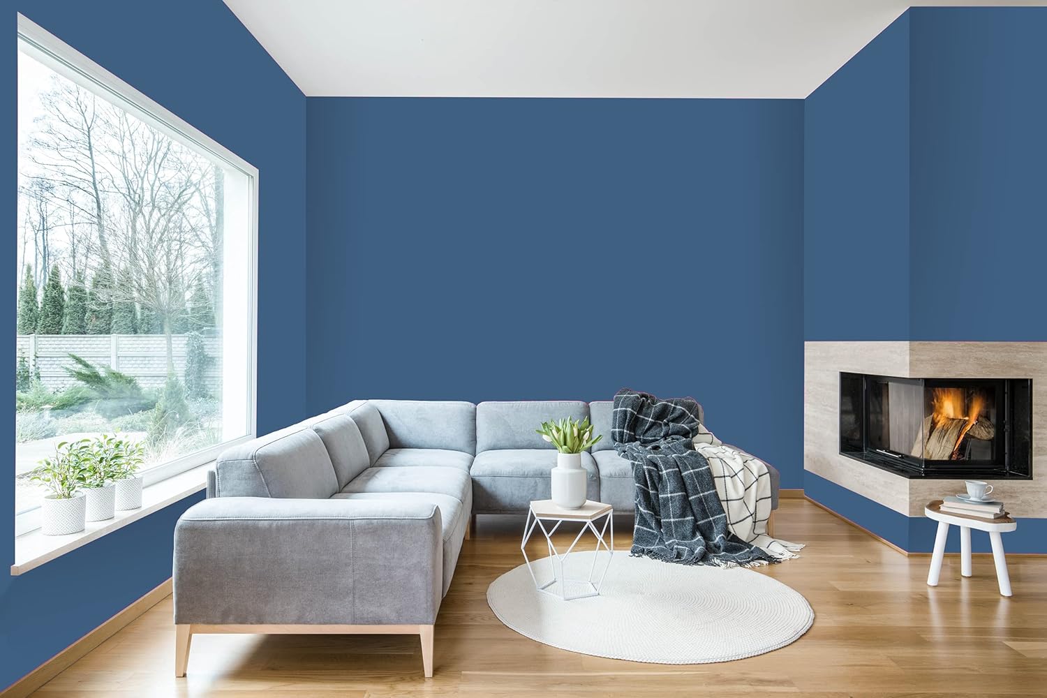 A modern living room with blue walls painted in a thick satin finish paint, a large window, grey L-shaped sofa, small round white table with plants, white rug, and a corner fireplace with a fire burning.