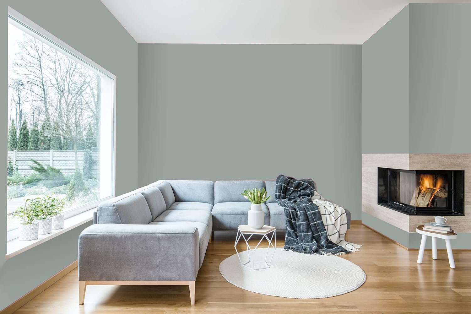 A modern living room with light gray satin finish paint on the walls, a large gray sectional sofa, a round white rug, a small side table with a plant, a cozy fireplace, and a large window showing trees outside.